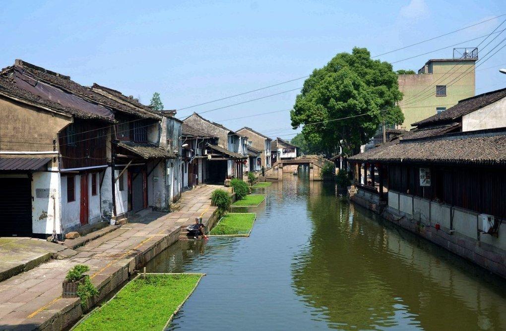 cows frogs goat不同类的是？知识星球平台，专注分享精品知识